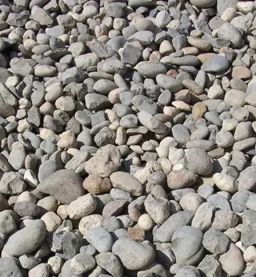 Cobble Rock 2"- 4" — Roundtree Rock & Gardening, Sacramento CA