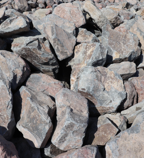 Lilac Medium — Roundtree Rock & Gardening, Sacramento CA