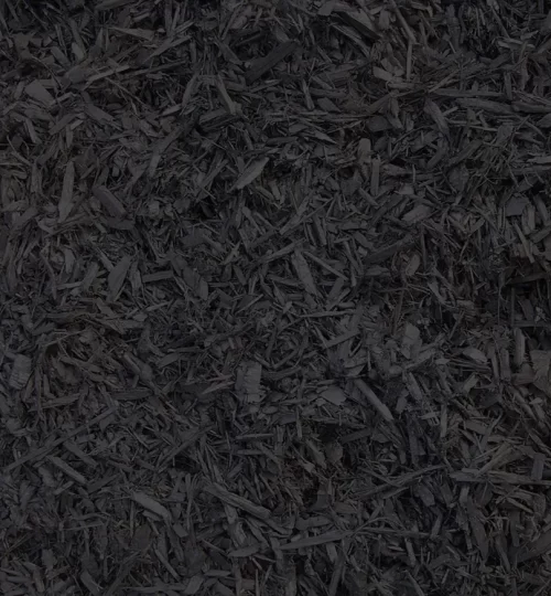 Midnight Black Bark — Roundtree Rock & Gardening, Sacramento CA