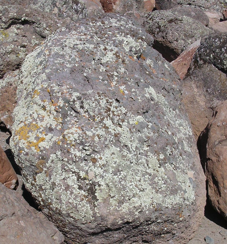 Moss Rock Large — Roundtree Rock & Gardening, Sacramento CA