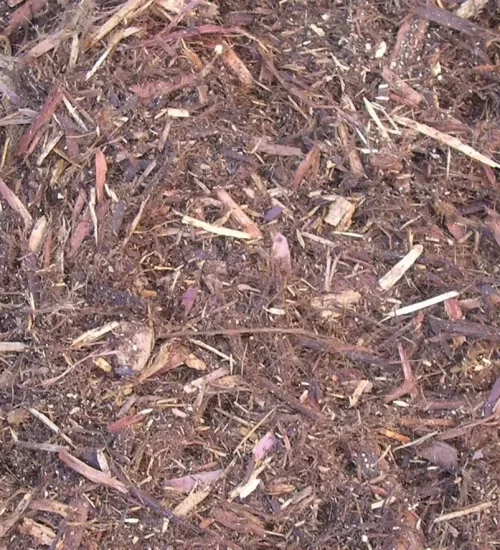 Shredded Cedar — Roundtree Rock & Gardening, Sacramento CA